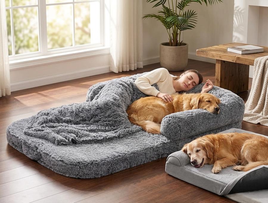 Foldable Human Dog Bed 72×44×11" in use